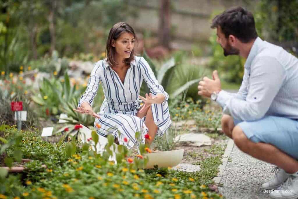 planning for planting