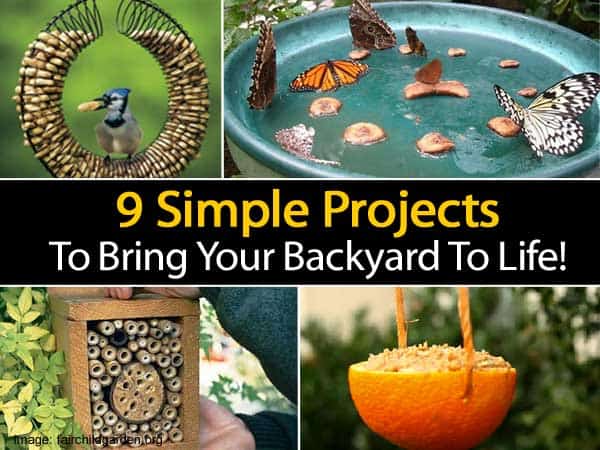 9 Simple Projects To Bring Your Backyard To Life