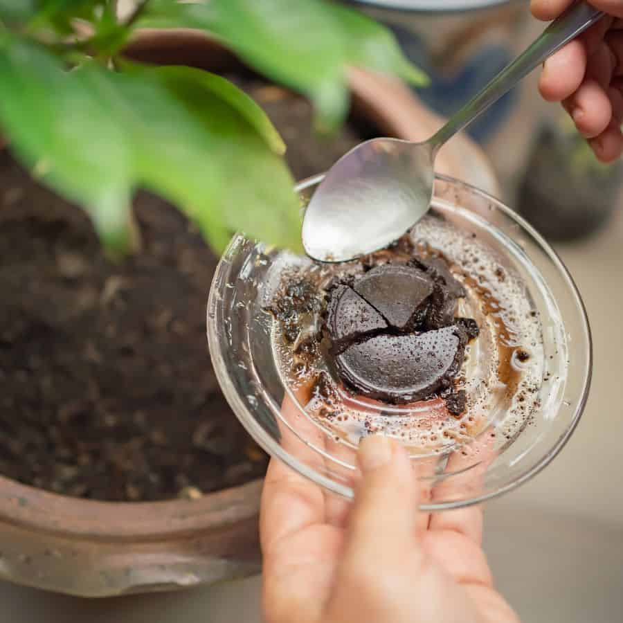 22474-ttlid-360-coffee-ground-garden-hacks-t1