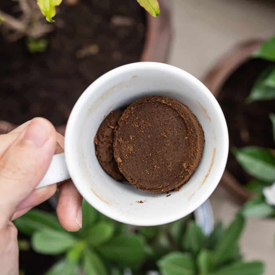 22968-ttlid-539-plants-that-love-your-leftover-coffee-grounds-t1