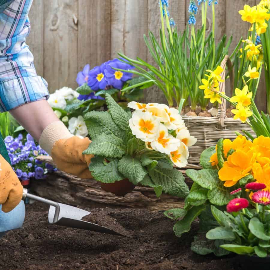 24803-ttlid-1890-secret-april-planting-calendar-t1