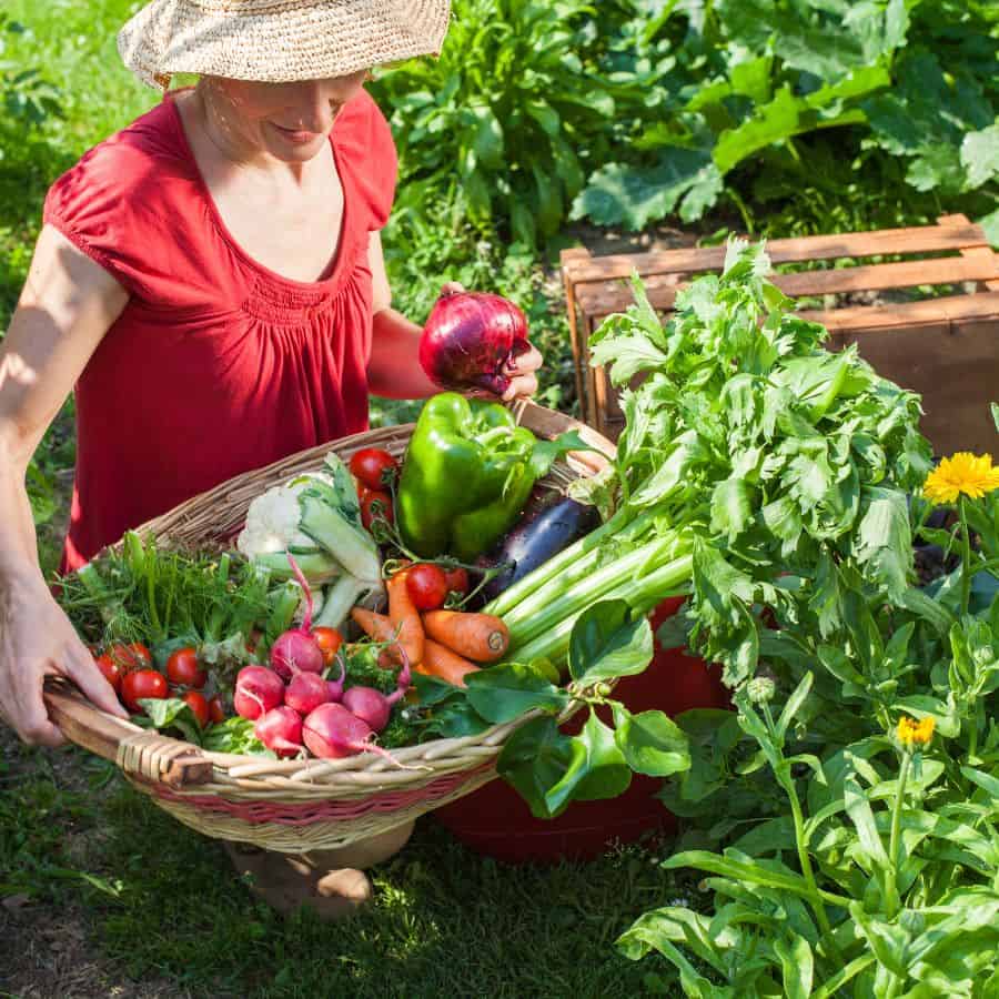 24806-ttlid-2019-secret-august-garden-t1