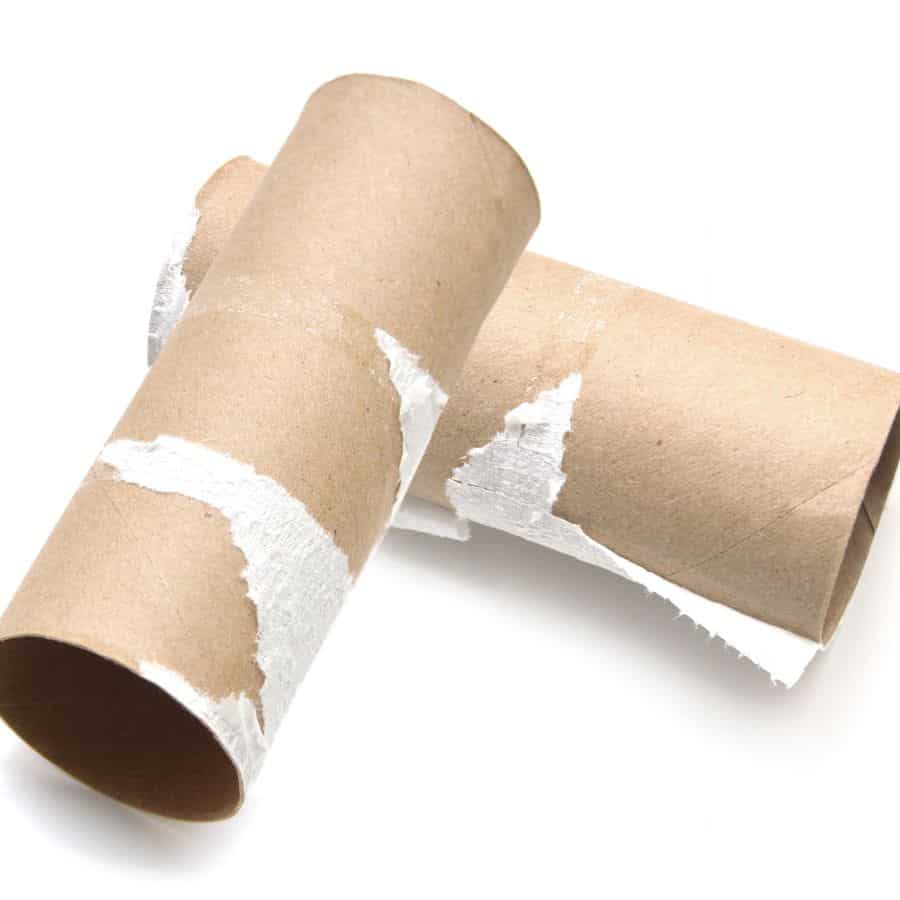 25870-ttlid-2573-empty-toilet-paper-rolls-t1