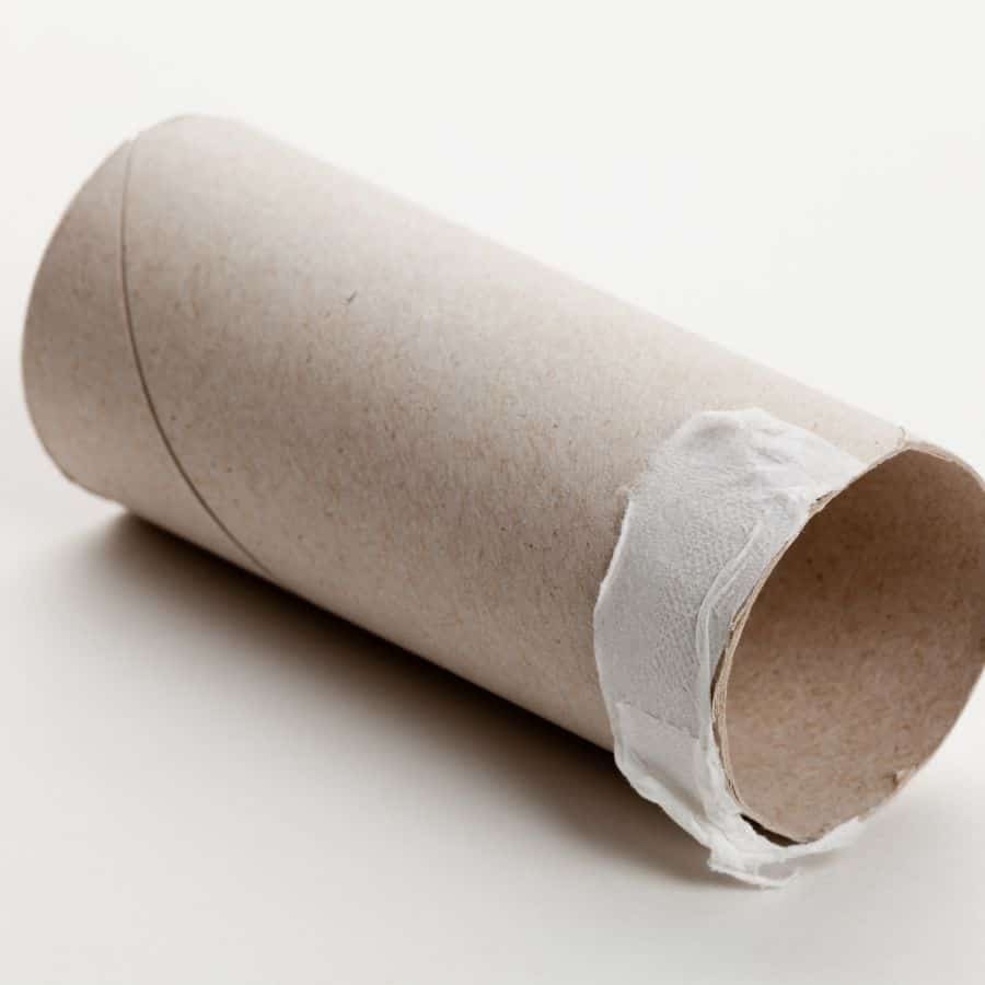 25870-ttlid-2574-empty-toilet-paper-rolls-t1