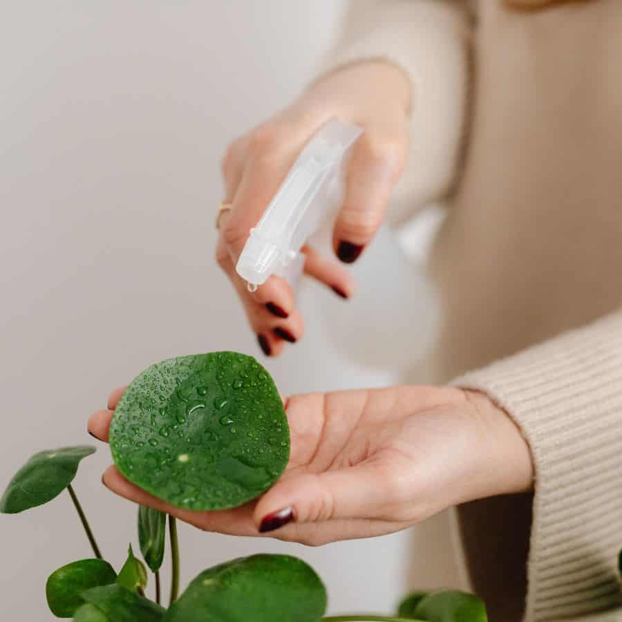 25901-ttlid-2837-forget-fancy-diffusers-t1