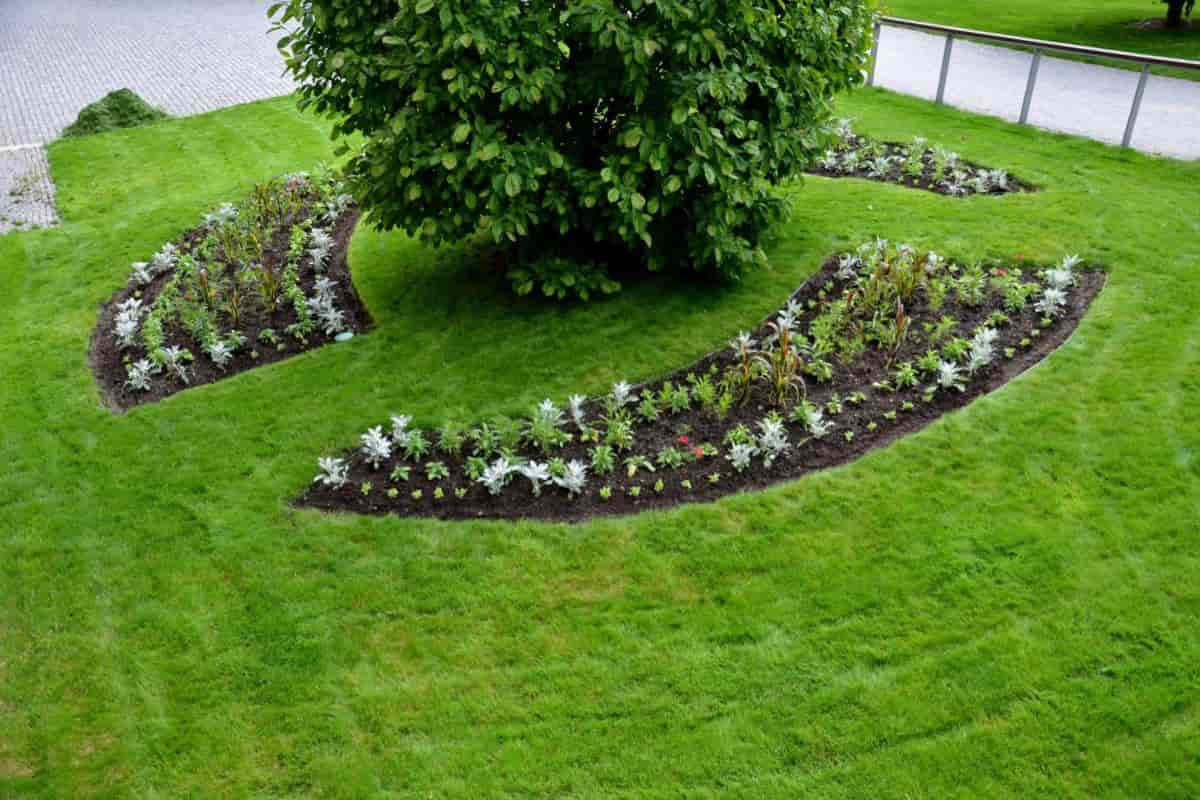 Grow Perennials