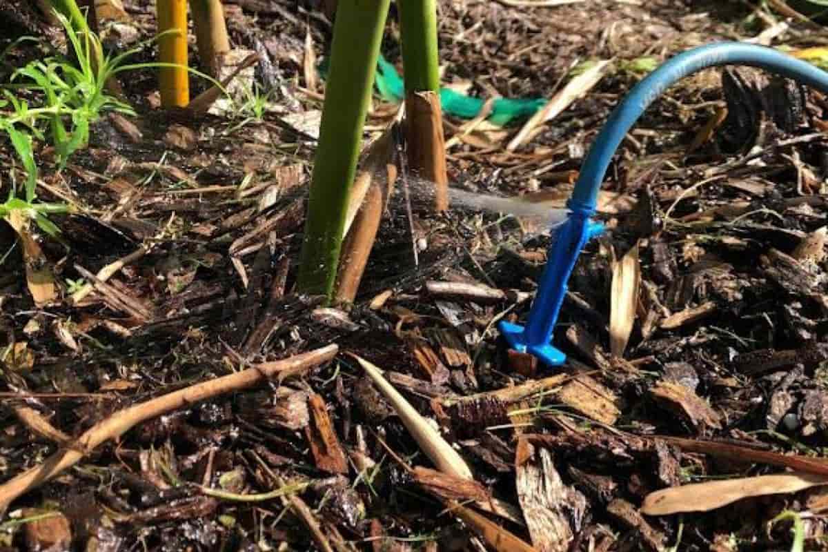 Water Saving