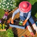 Pinterest Hidden Image