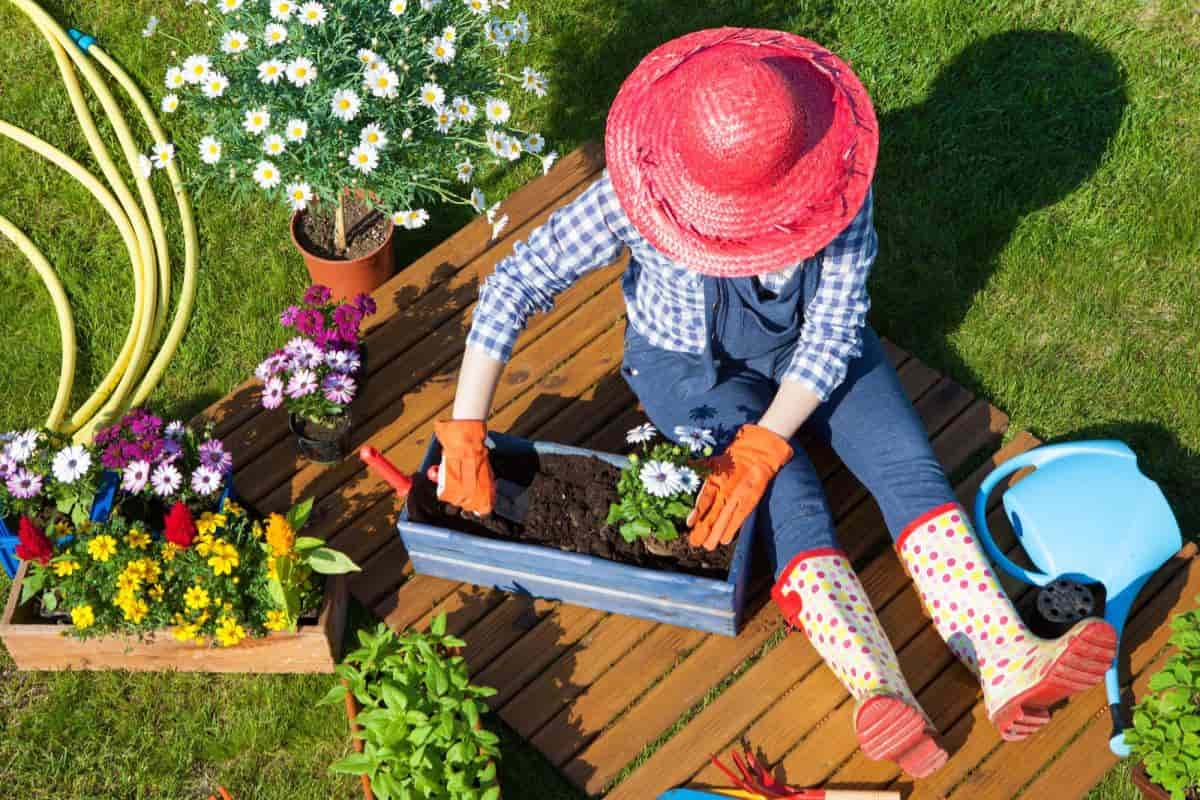 Preparing Garden