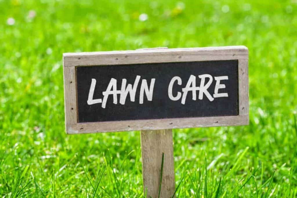 tips for success in lawn making