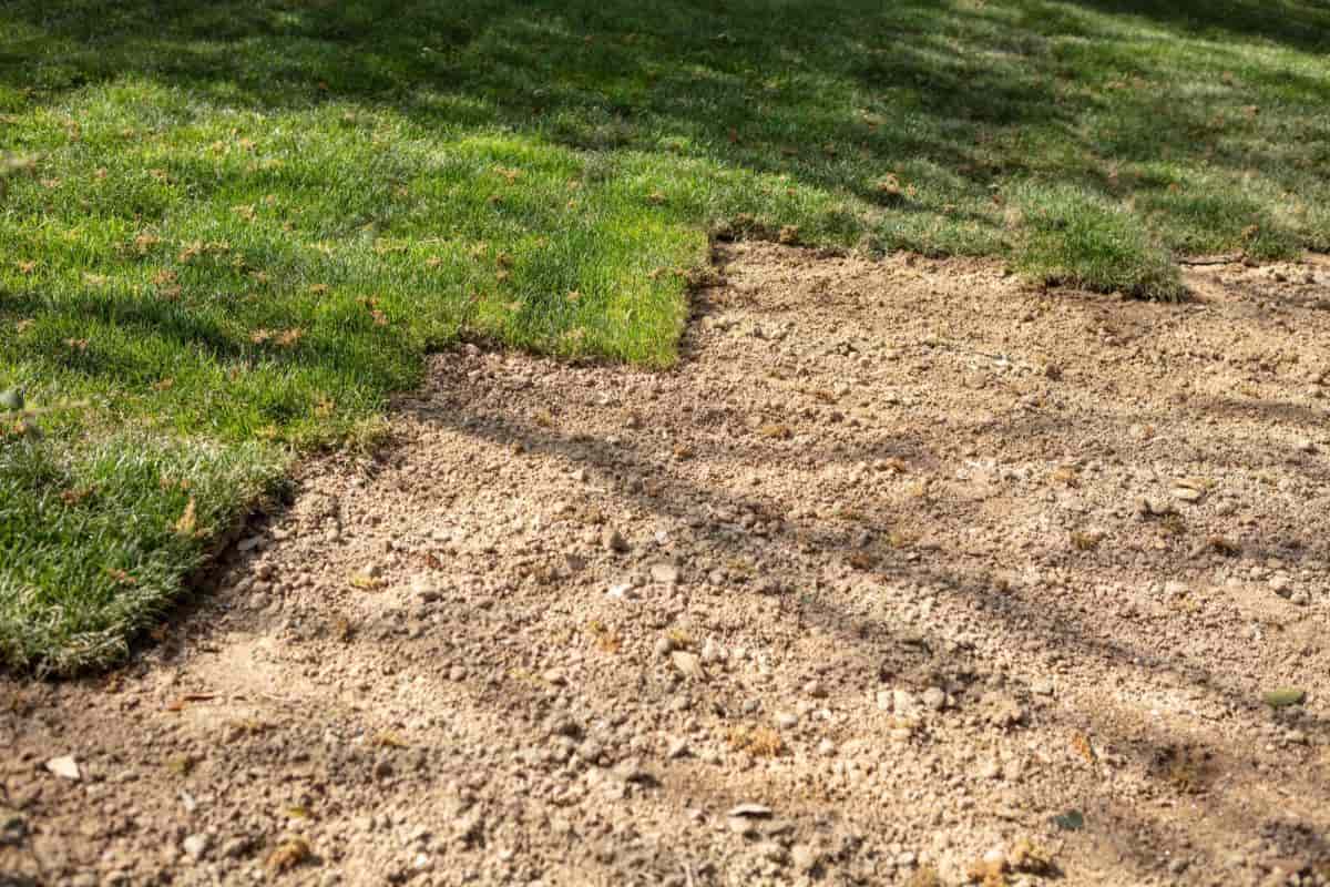 Time For Lawn