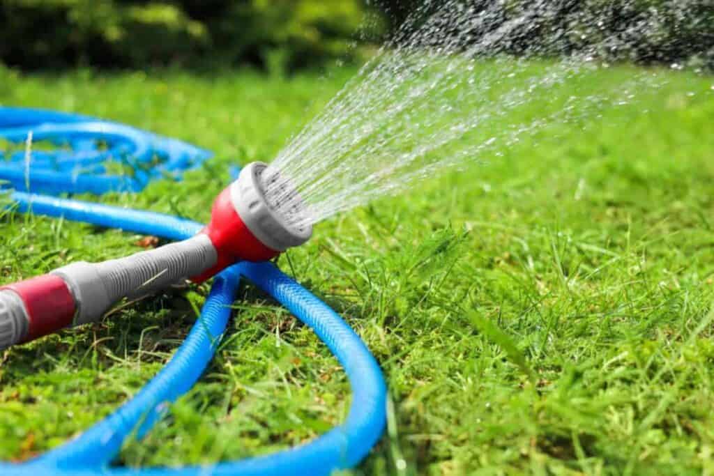 Garden Hose