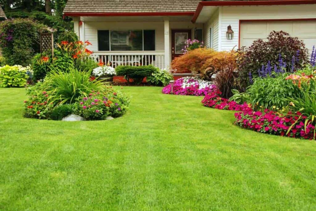 Building Lawn