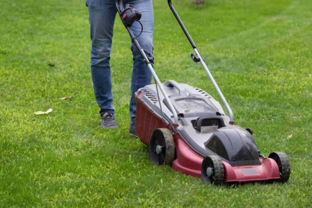 Maintaining a Lawn