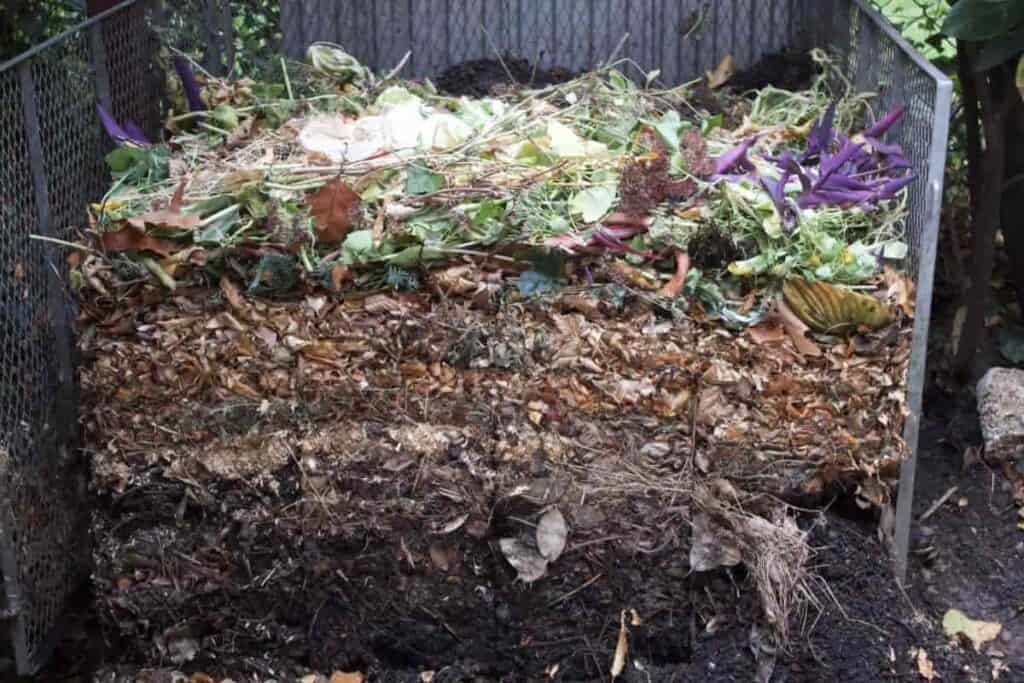Making Compost