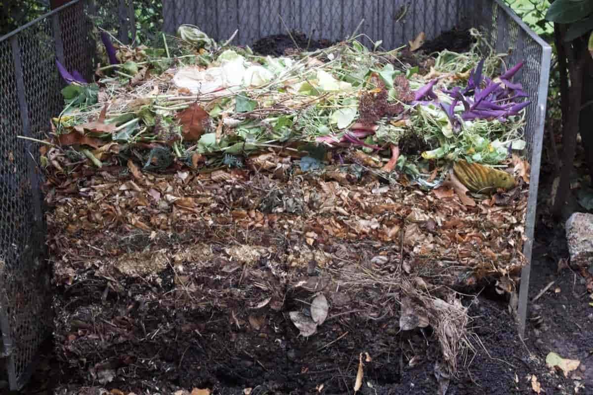 Making Compost