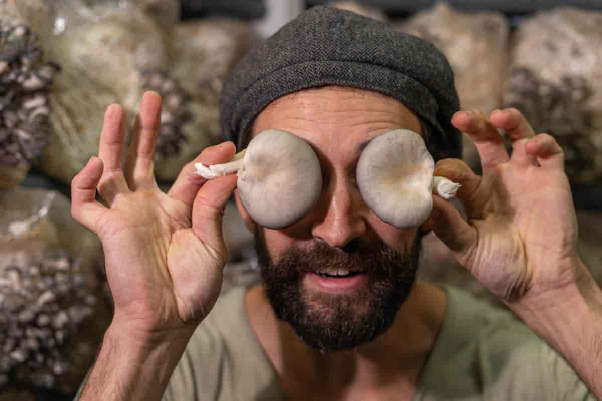 Growing Mushrooms