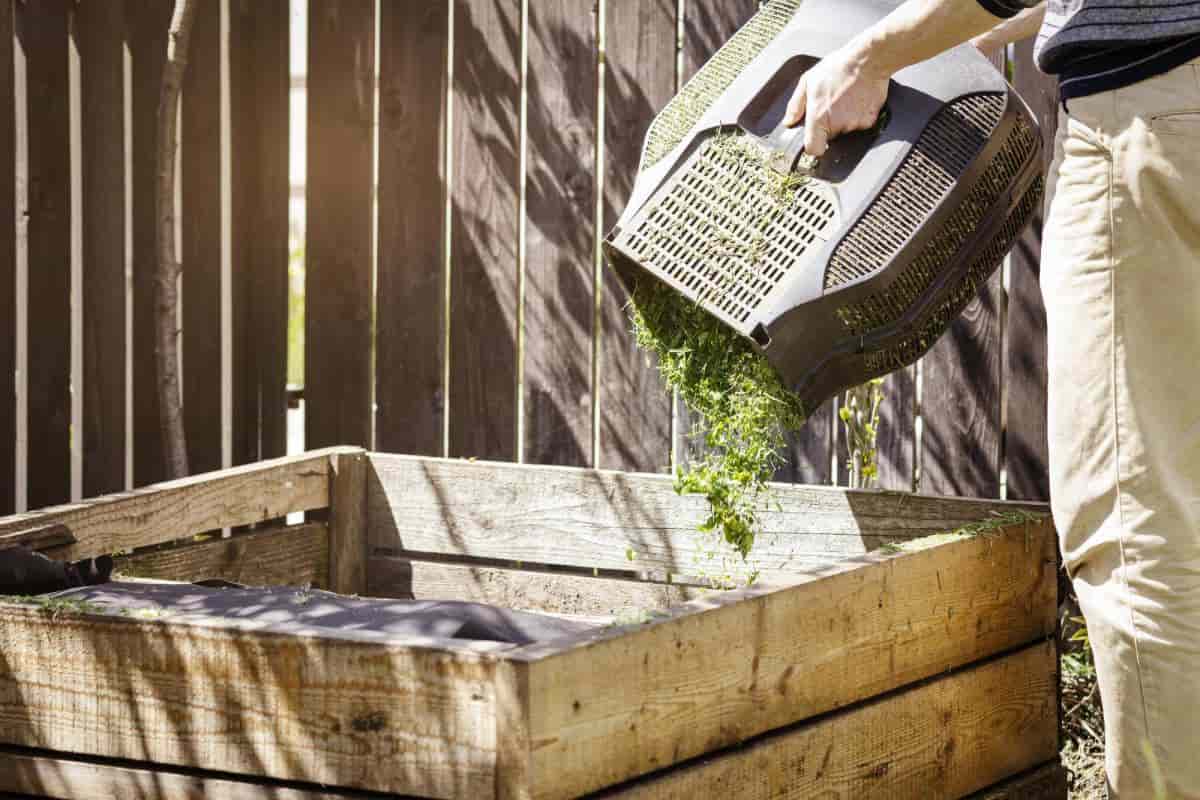 Compost Pile