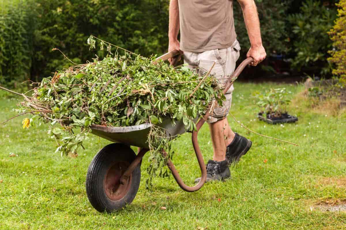 change basic garden features
