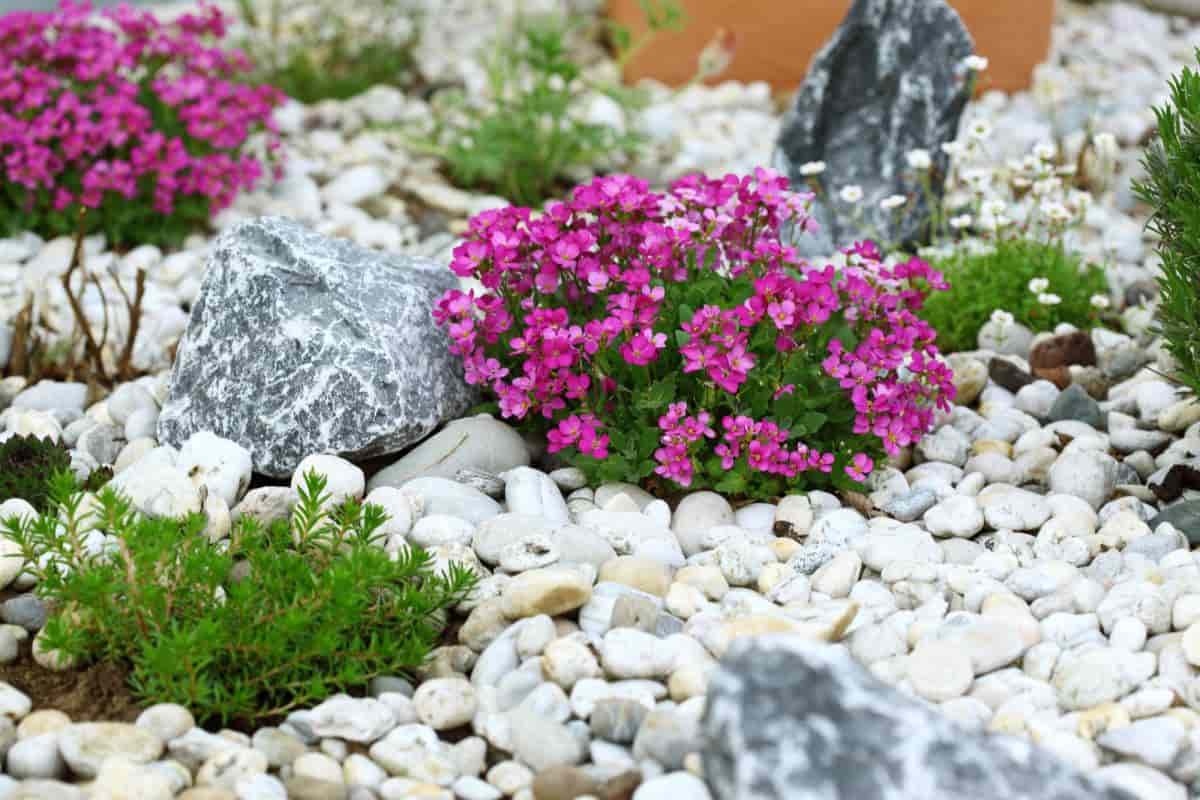Rock Garden Sites