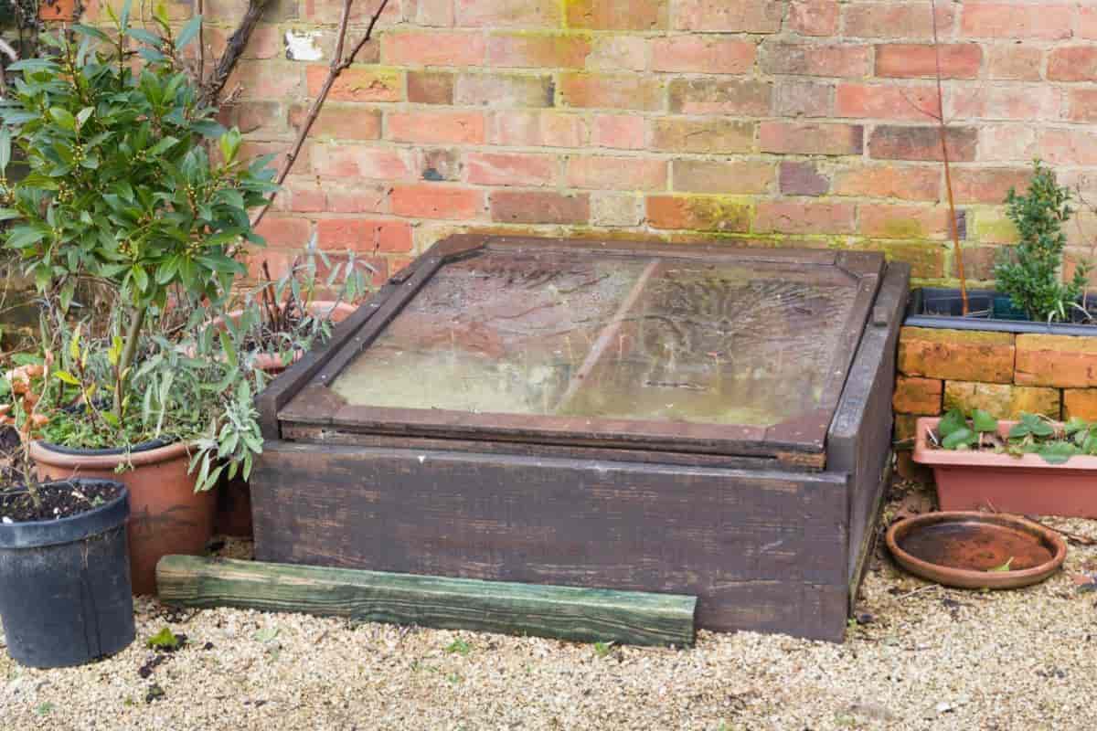 Cold frame Gardening