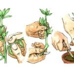 Pinterest Hidden Image