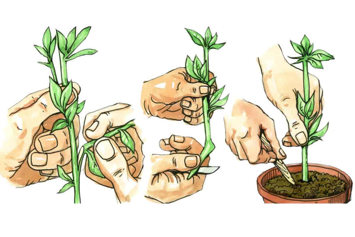 handy cutting box