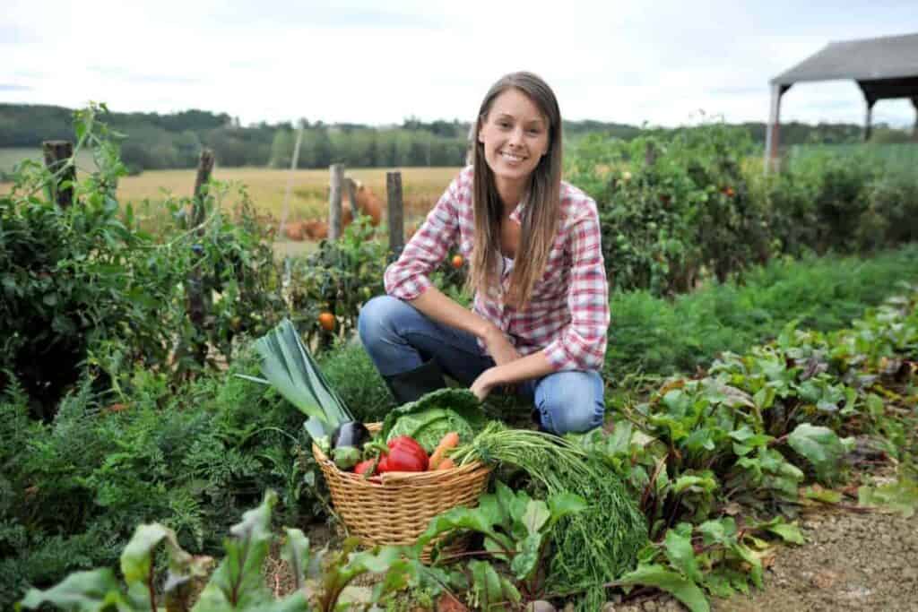 Saving Vegetables