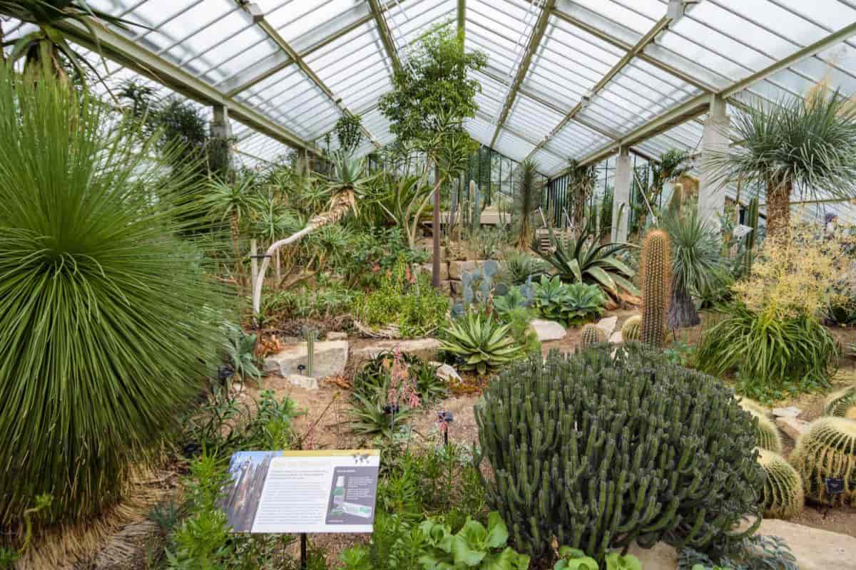 Museum Zoo Garden