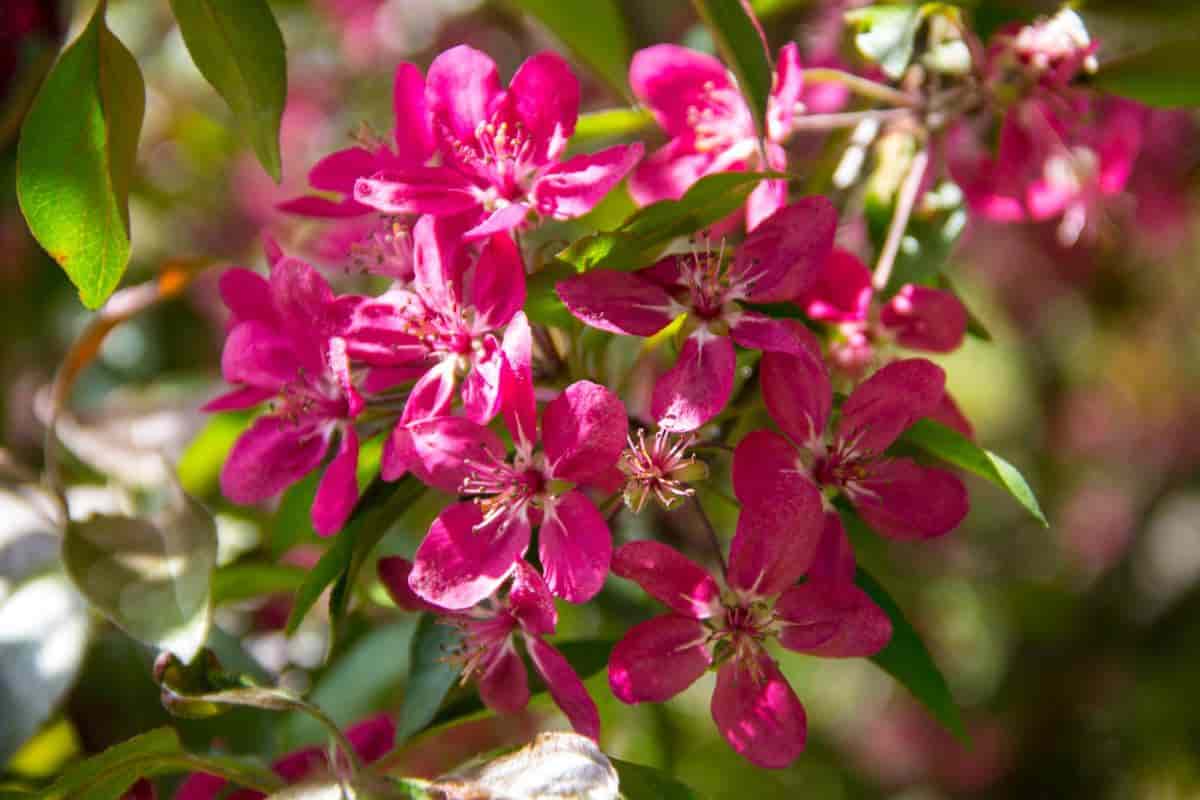 its spring inside