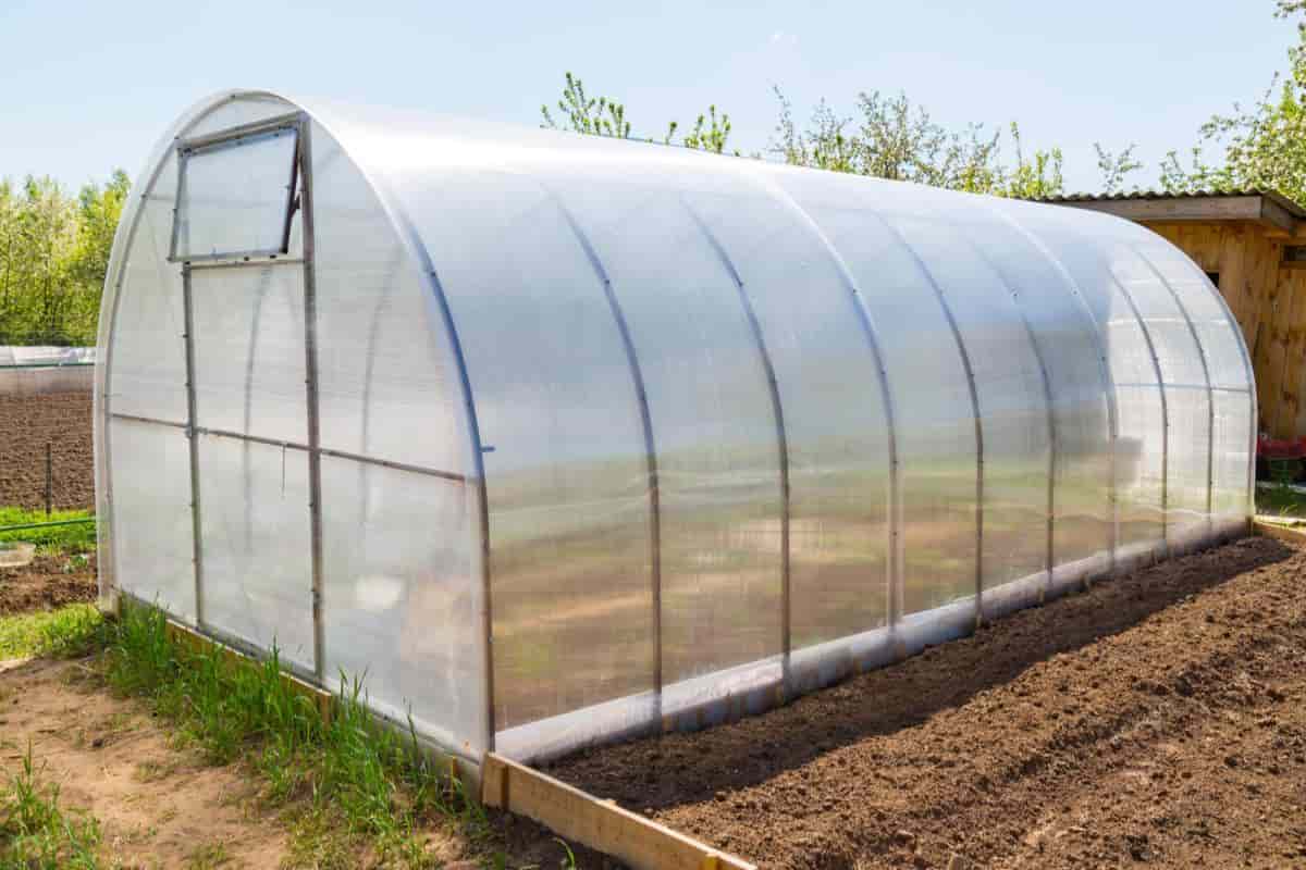 Home Greenhouse