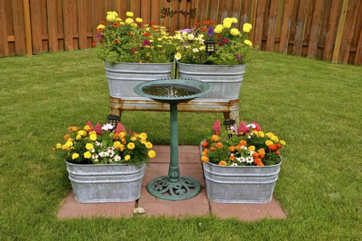 Tub Garden
