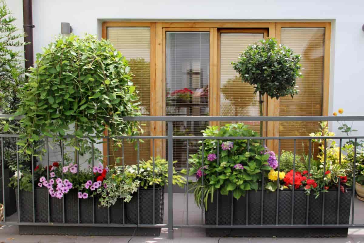 Terrace Paradise