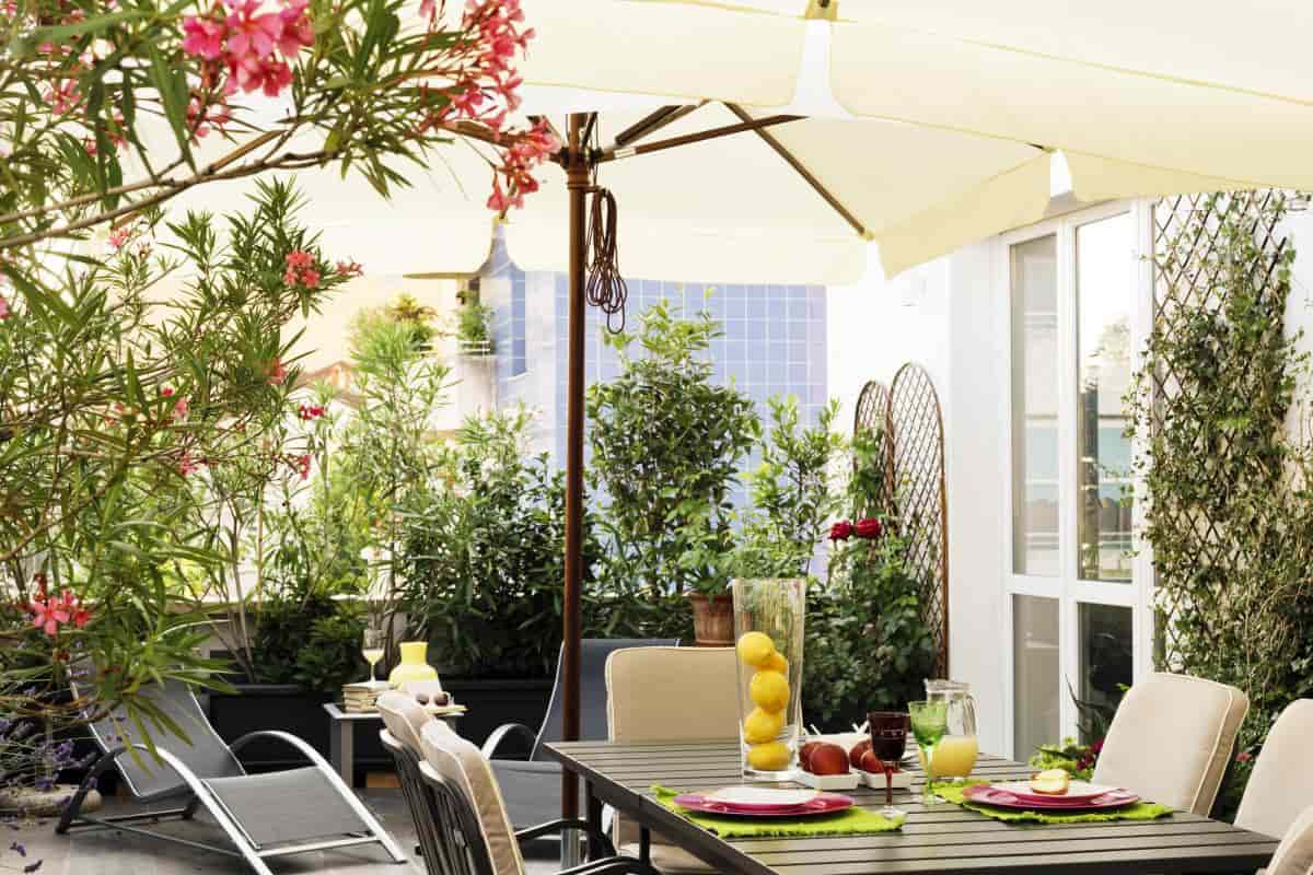 Gardening Inside