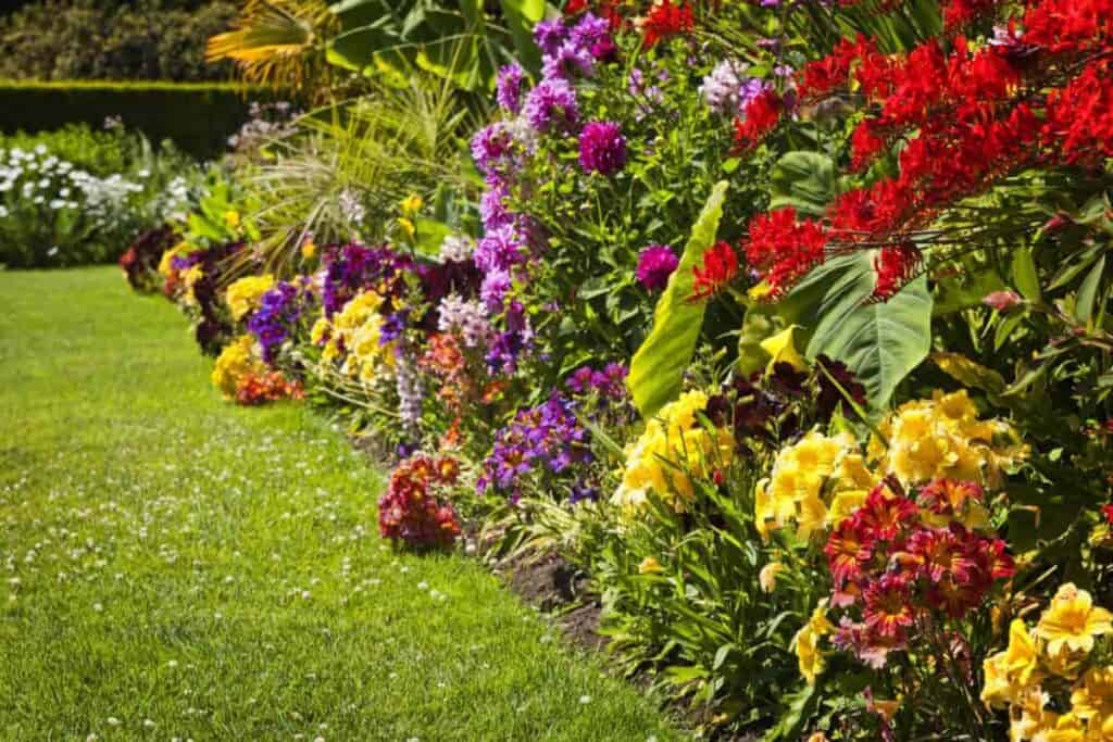 Garden Daily