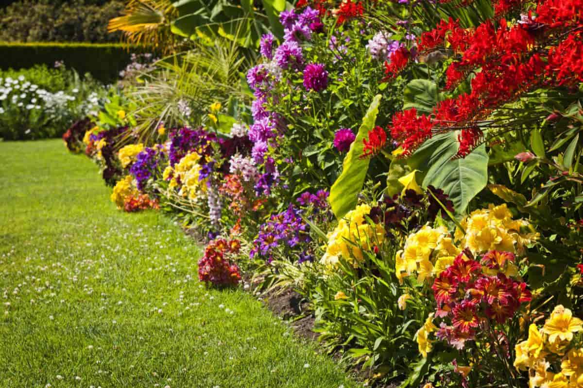 Garden Daily