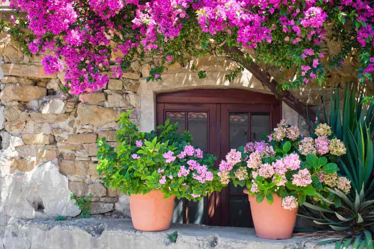 Italian Garden
