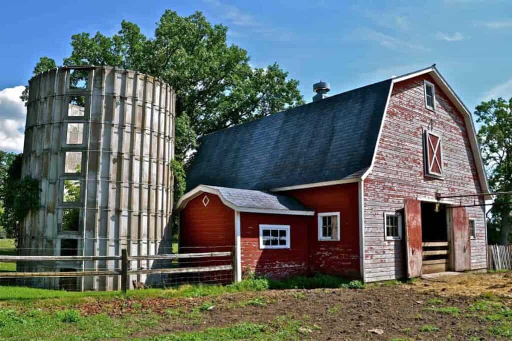 barnyard manure in polite society