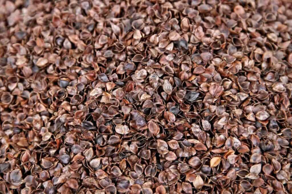 mulch for you