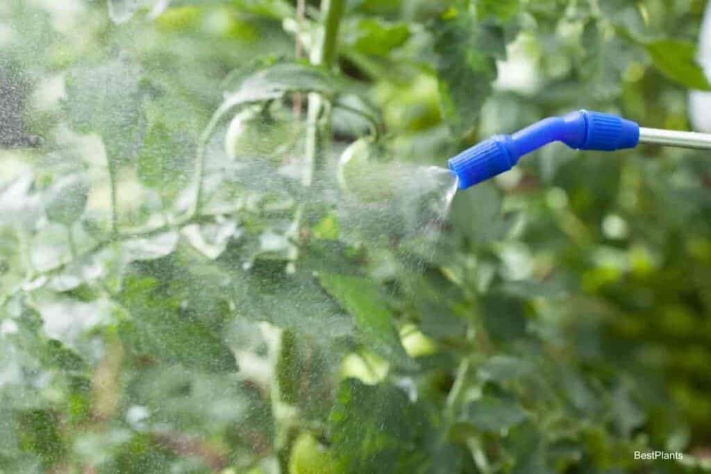 essential dusts sprays equipment