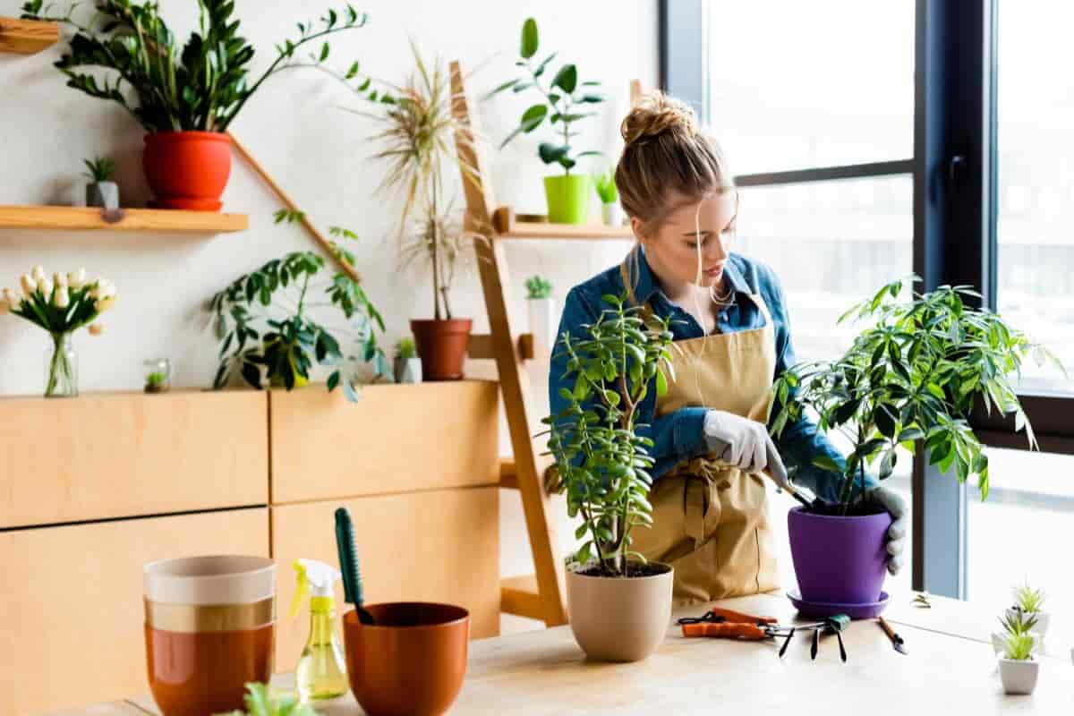 Pot Gardening
