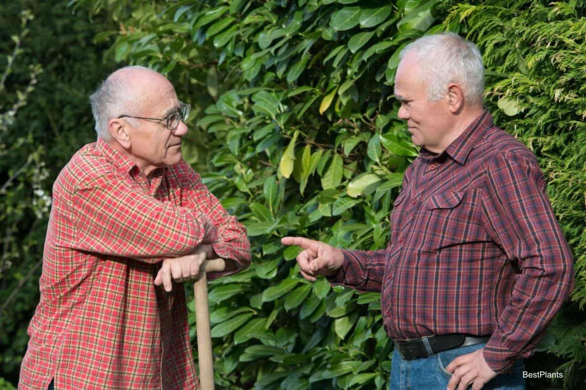 gardeners do wrong