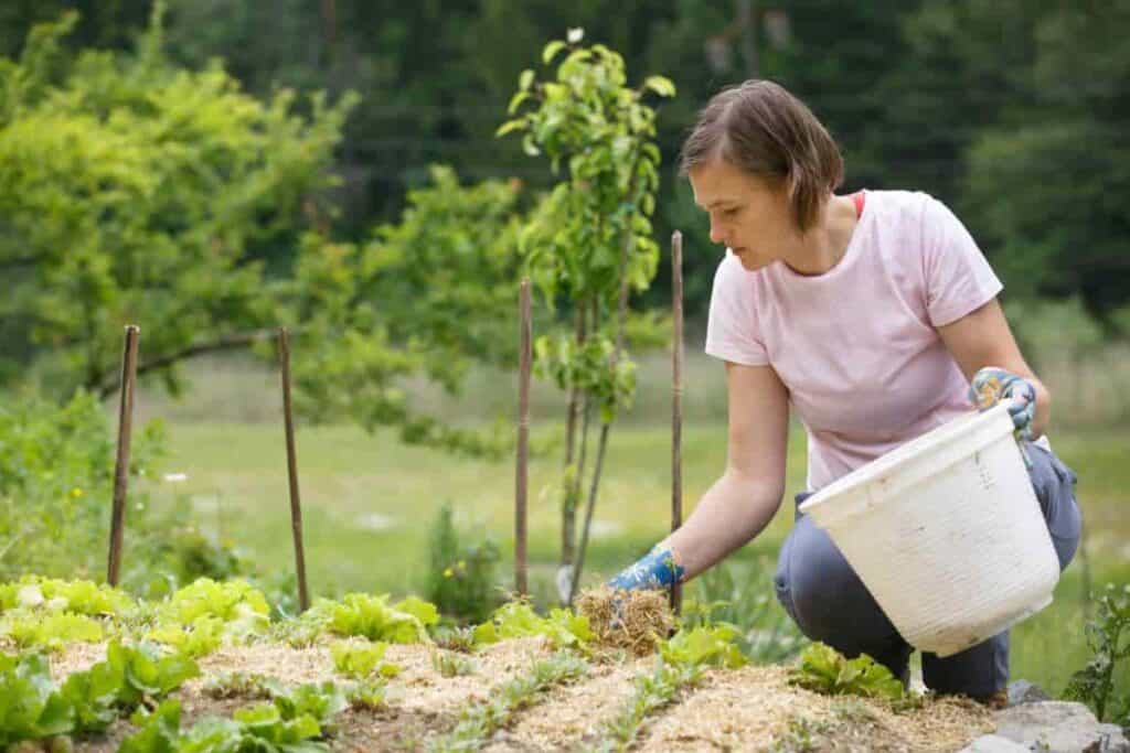 Fun Gardening