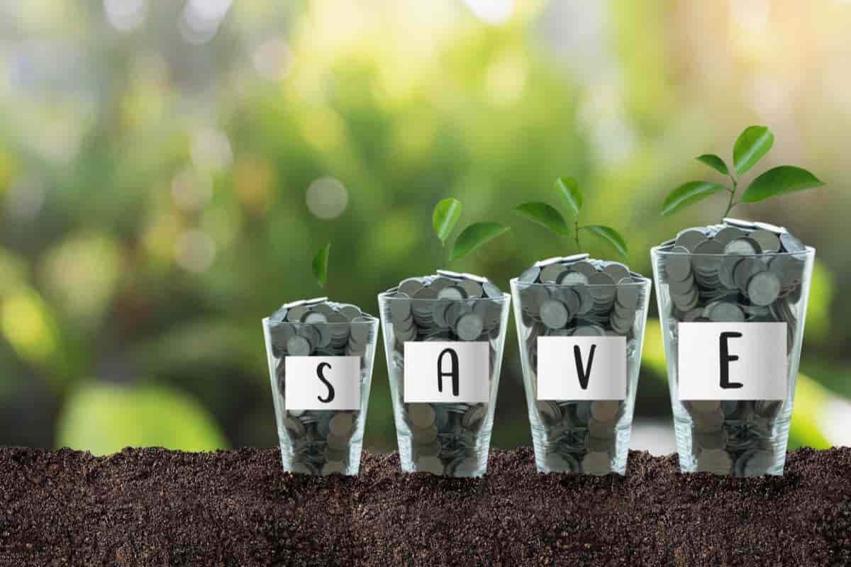 Budget Garden