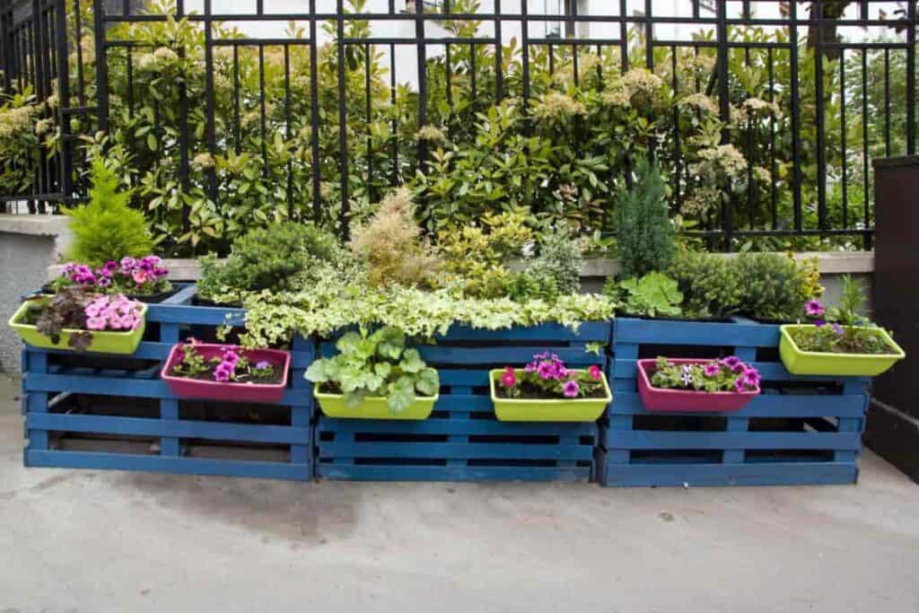 Flower Boxes