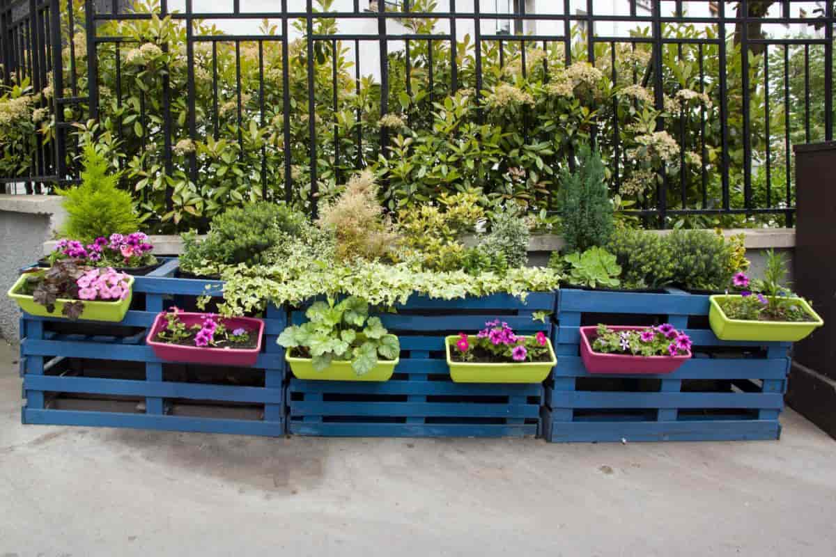 Flower Boxes