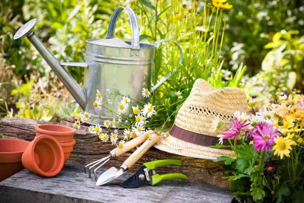 Garden Ready for Vacation