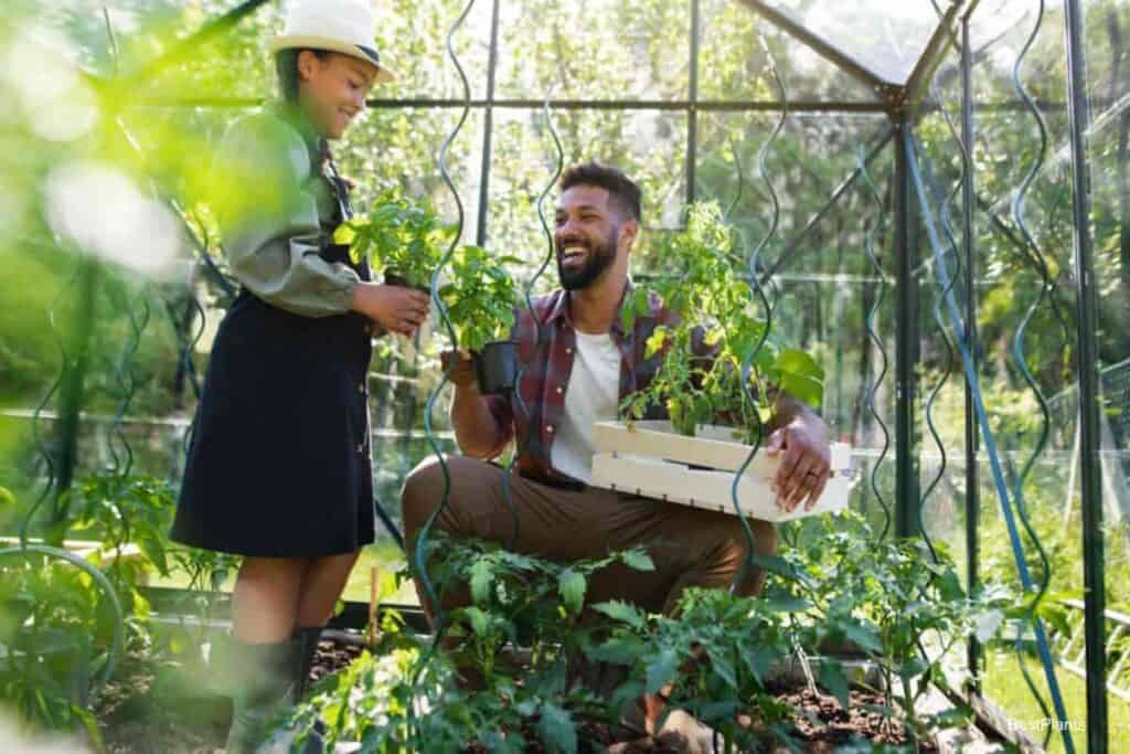 home greenhouse
