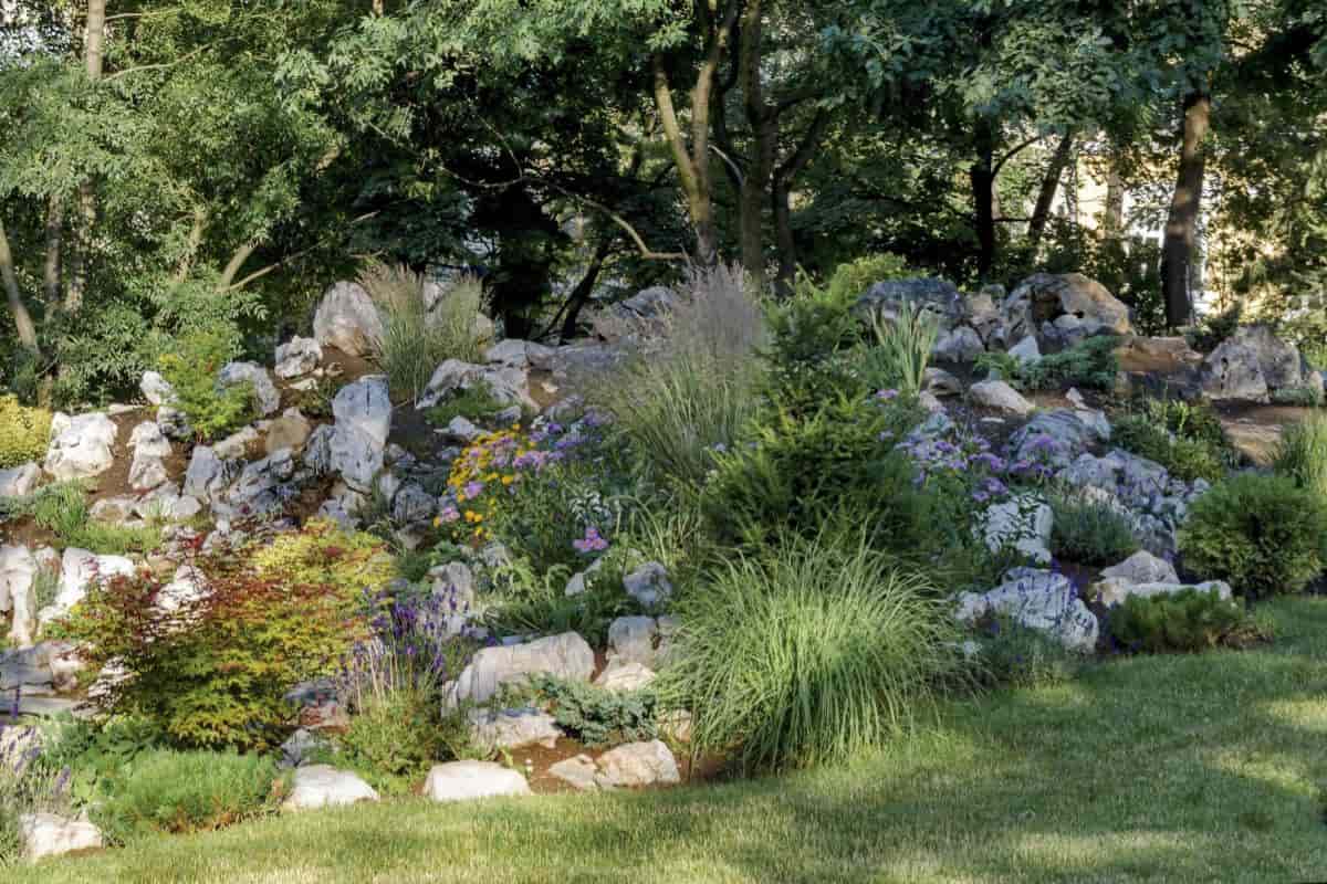 Rock Garden