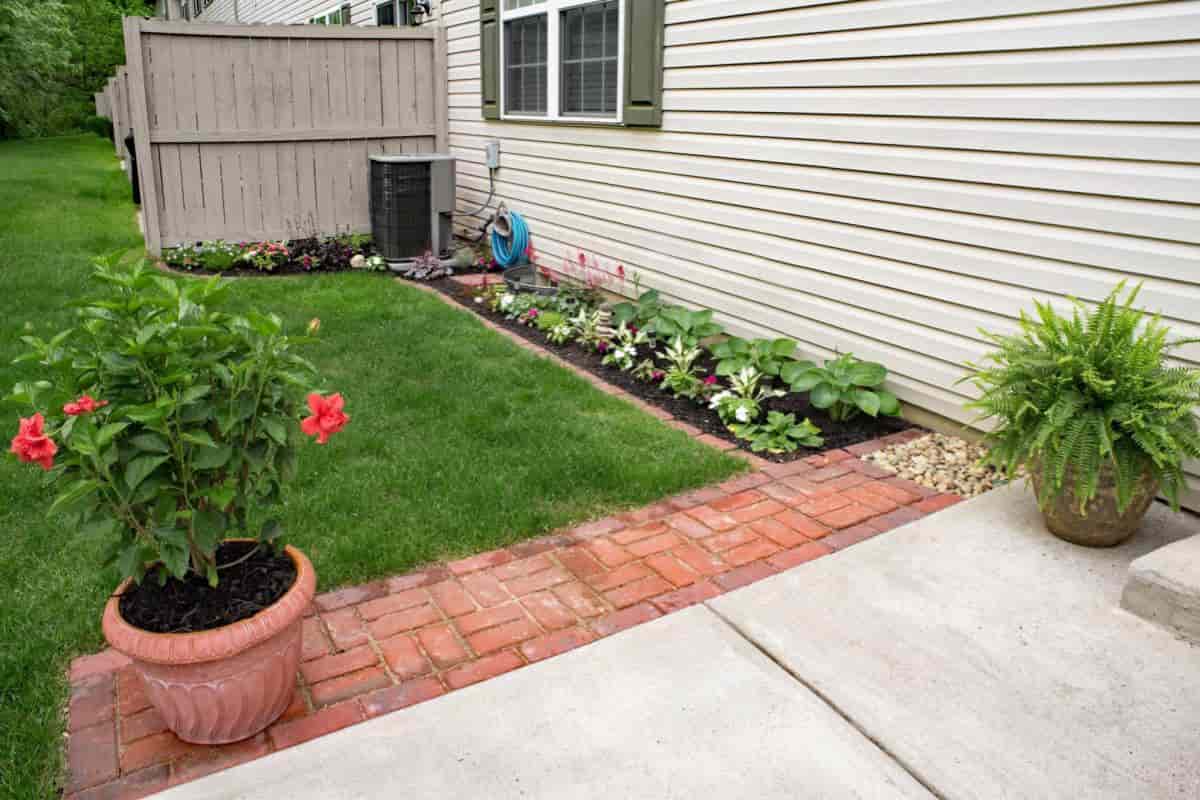 American Garden